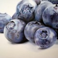 mirtilli 1,40x1,00_big