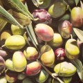 olive 1,50x1,00_big