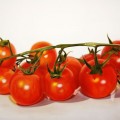 pomodorini 1,50x1,00_big