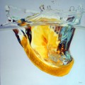 splash di limone 1,00x1,00_big
