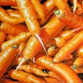 carote 1,50x1,00_big